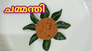 ചോറിനും കഞ്ഞിക്കും കൂട്ടാൻ പറ്റിയ കിടിലൻ തേങ്ങ ചമ്മന്തി||Thenga chammandi