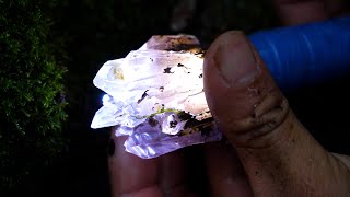 I found the hidden treasure in the forest. Gems, crystals, agates. So lucky