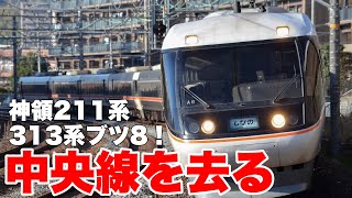 【中央西線】ブツ8の313系、神領の211系！特急しなのから撮影！