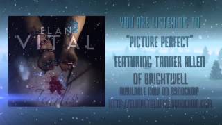 Élan Vital - Picture Perfect (Ft. Tanner Allen of Youth in Revolt)