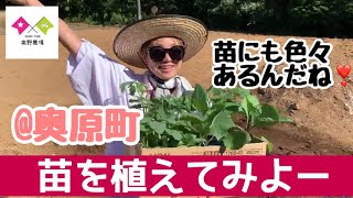 【奥野ファーム企画】休耕地を再建しよう（９時間目：奥野ファームに苗を植えてみよー）