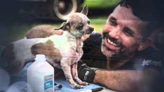 The Gift of Compassion 2015: Celebrating Five Years of Saving Lives and Inspiring Compassion