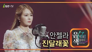 안젤라 - 진달래꽃 [아이넷TV 음색]