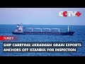 Ship Carrying Ukrainian Grain Exports Anchors off Istanbul for Inspection