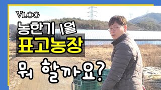 [꿈파 브이로그 ep2] 농한기 겨울철 바쁜 꿈파농장은 아직 농번기 입니다유