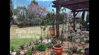 Early Spring Gardening