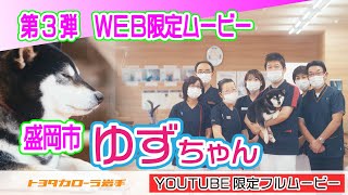 【トヨタカローラ岩手】ペットCM2021 キミと一緒なら”ゆずちゃん”編_WEB限定フルバージョン