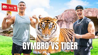 We Fought An Actual Tiger (Wild)!!