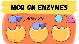 MCQs on Enzymes || Enzymes Biochemistry MCQs || Enzymes Important Questions || Enzymes Quizs