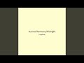 Aurora Harmony Midnight