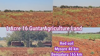 1 Acre 16 gunta Agriculture land for sale  Red soil mysore 40 km Bengaluru 165 km NH 13 km