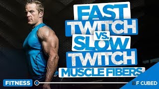 Fast Twitch vs Slow Twitch Muscle Fibers (Muscle Fibers Explained)