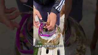 我给你泡了英雄灵芝酒