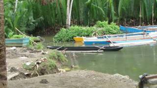 Lungsodaan Candijay Bohol (Riverside Association)