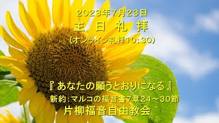 片柳福音自由教会『あなたの願うとおりになる」2023年7月23日　マルコの福音書7章24～30節