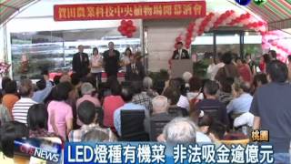 LED燈種菜噱頭 非法吸金逾億元