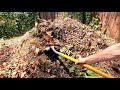 composting is almost too easy making compost at home.