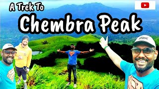 Chembra Peak ⛰️ - Trekking 😍‼️| Wayanad 💕 | Kerala 💚 | Vlog 📢 | Kurali Vithai 💫