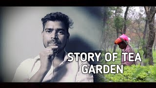 STORY OF DOOMNI TEA GARDEN MY NEW VLOGE