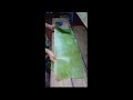 ಬಾಳೆ ಎಲೆಯ ಕೊಟ್ಟೆ ಮಾಡುವ ವಿಧಾನ making kotte using banana leaf