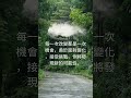 每日一句心靈雞湯 心靈雞湯分享 心動的雞湯句子 抒發的名句 ep 5 shorts 雞湯語錄 心靈雞湯 愛的名言 心動