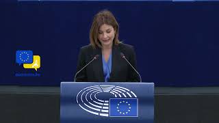 Alessandra Moretti (S\u0026D): The Strategic Need for Western Balkans Enlargement