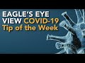 Eagle's Eye View: COVID-19 Tip of the Week (6/23/21) | COVID-19 Hub