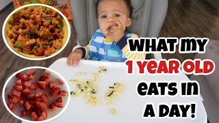 WHAT MY BABY EATS IN A DAY! | BABY MEAL IDEAS FOR 1 YEAR OLD