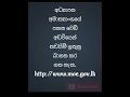 5 ශ්‍රේණිය ශිෂ්‍යත්ව විභාගයේ කඩයිම් ලකුනු නිකුත් වේ☝️