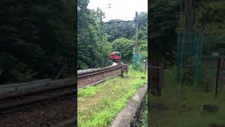 箱根登山鉄道1000系通過シーン(彫刻の森→強羅)