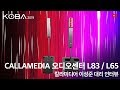 [비디오노트] KOBA2019, 칼라미디어 오디오센터 L83 / L65 컬럼 어레이 스피커