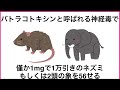 1割しか知らない面白い雑学 雑学