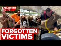 Vets from around Australia help animals stranded in floodwaters | A Current Affair