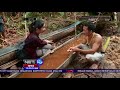 Pengolahan Sagu Khas Warga Siberut - NET 10