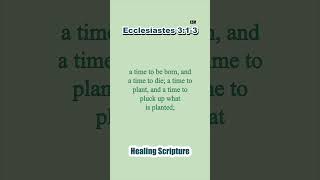 Healing Scripture - For everything there is a season, and a time for every matter under heaven...