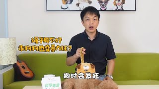 你的牵引绳拉这么紧，连乖狗狗出门都会变恶犬！