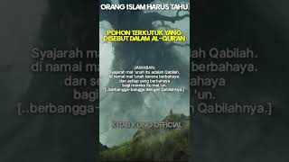 Inilah pohon terkutuk yang disebut dalam Al-Qu'an.#youtubeshort #islamicshorts @KitabKunoOfficial