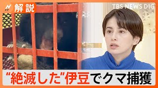 「今後『いない』とされていた地域で出没の可能性も」都市型クマ”アーバンベア”が増加　クマに遭遇したときの対応は…【Nスタ解説】｜TBS NEWS DIG