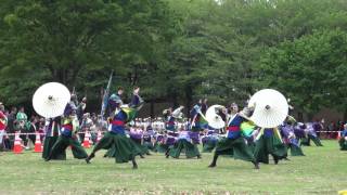 静岡大学　お茶の子祭々（あっぱれ富士2016本祭）芝生会場