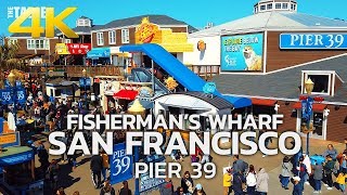 SAN FRANCISCO - Fisherman's Wharf, San Francisco, Pier 39, California, USA, Travel, 4K UHD