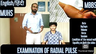 Examination of Radial Pulse (English/Hindi) | MUHS | #mbbs #medicine #practical #cvs