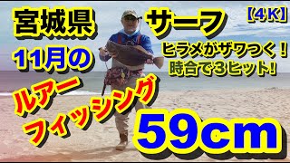 【４Ｋ】今回のヒットルアー公開！宮城県サーフの ヒラメ40cm ヒラメ59cm 何故か時合にヒット！