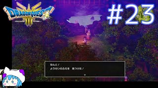 【ドラクエ3リメイク】#23｜王者の剣ゲットおおおおおおお！モンスターバトルぼろ負けしたけど。ガライの家～マイラ～沼地の洞窟