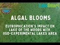 Algal Blooms: Eutrophication's impact on freshwater lakes with IISD-Experimental Lakes Area