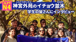 神宮外苑のイチョウ並木 学生の皆さんにインタビュー！ 紅葉を見に行ったことはありますか？ / TCJ Student interview: Have you seen Japanese Ginkgo?