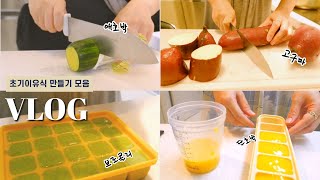 [육아Vlog] 초기이유식만들기 모음/ 애호박, 고구마, 브로콜리, 단호박 미음/ 큐브/ 5개월아기 초기이유식 만들기