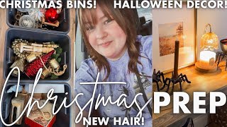 ORGANIZING MY CHRISTMAS BINS | CHRISTMAS 2024 PREP VLOG