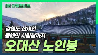 [1분 산행포인트] 오대산 노인봉 등산코스 #강원도 강릉시 #화강암봉우리 #백발노인 #다섯봉우리