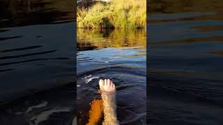 Autumn colours in the water.