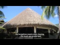 palmex international what our customers say about us episode 1